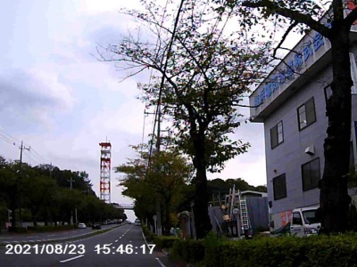 photo_brantea_seya_budousyuukaku_fujiminori_2021_8_082411.jpg