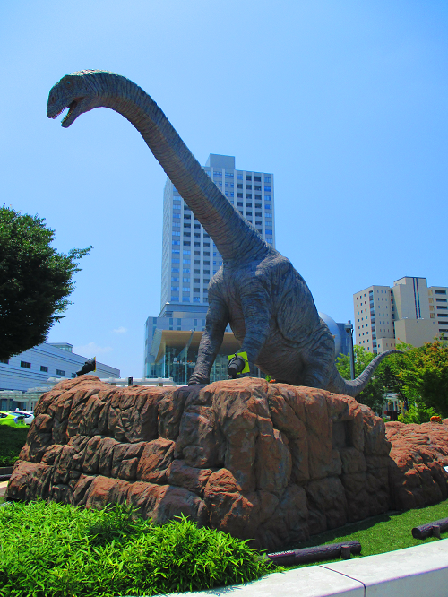 恐竜広場　１４
