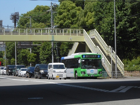 os-bus5016-1.jpg