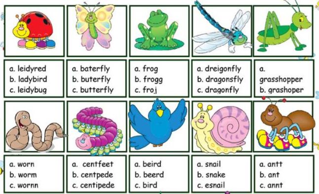 春に関連する英単語テストSpring vocabulary quiz