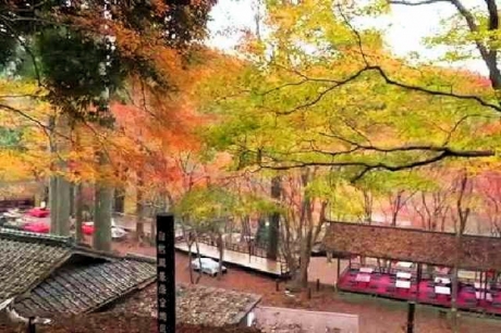 京都 高雄山 神護寺の紅葉8