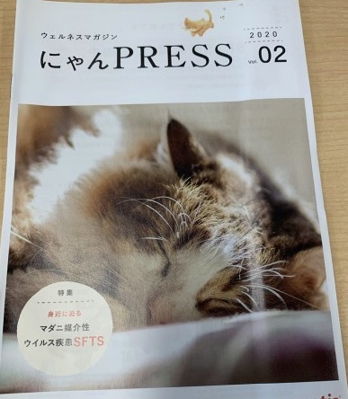 猫の雑誌
