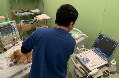 CT室で超音波検査をする男