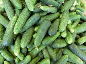 cucumbers.jpg