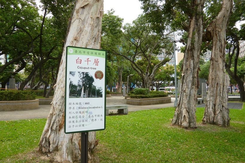 201310台湾‗23散歩 (9)