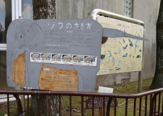 浜松市動物園　