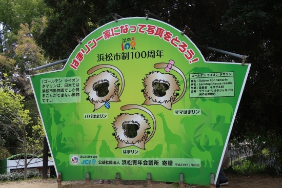 浜松市動物園　キヌザルの仲間　顔出し看板