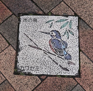 静岡市の鳥カワセミ