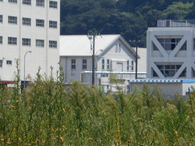 横須賀海軍軍需部衣糧倉庫 (4)