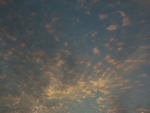ウロコ雲