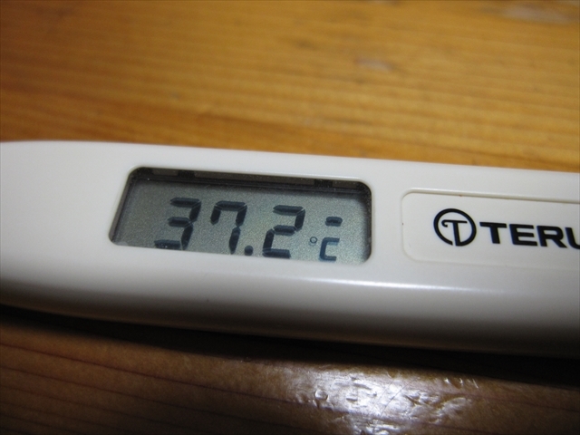 体温　37.2度