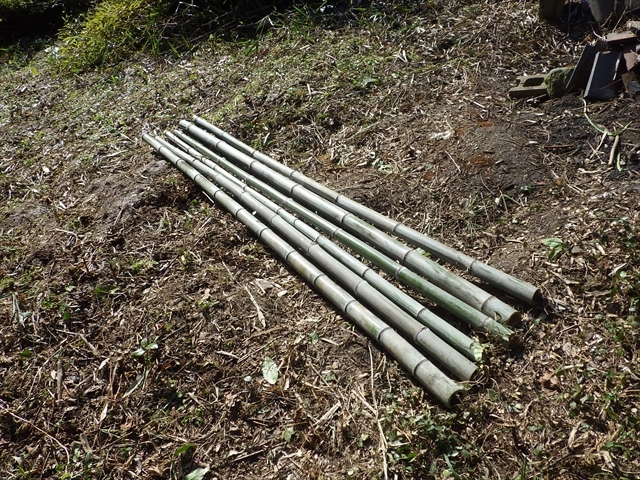 竹林伐採　鉄棒用