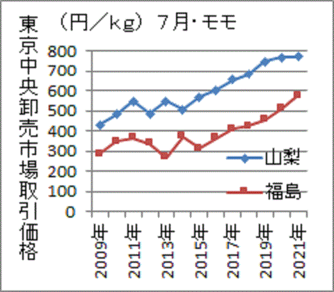 １１年連続で安値が続く福島産のモモ価格