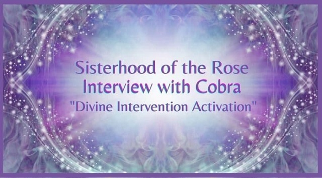 1 SotR interview with Cobra Divine Intervention Activation