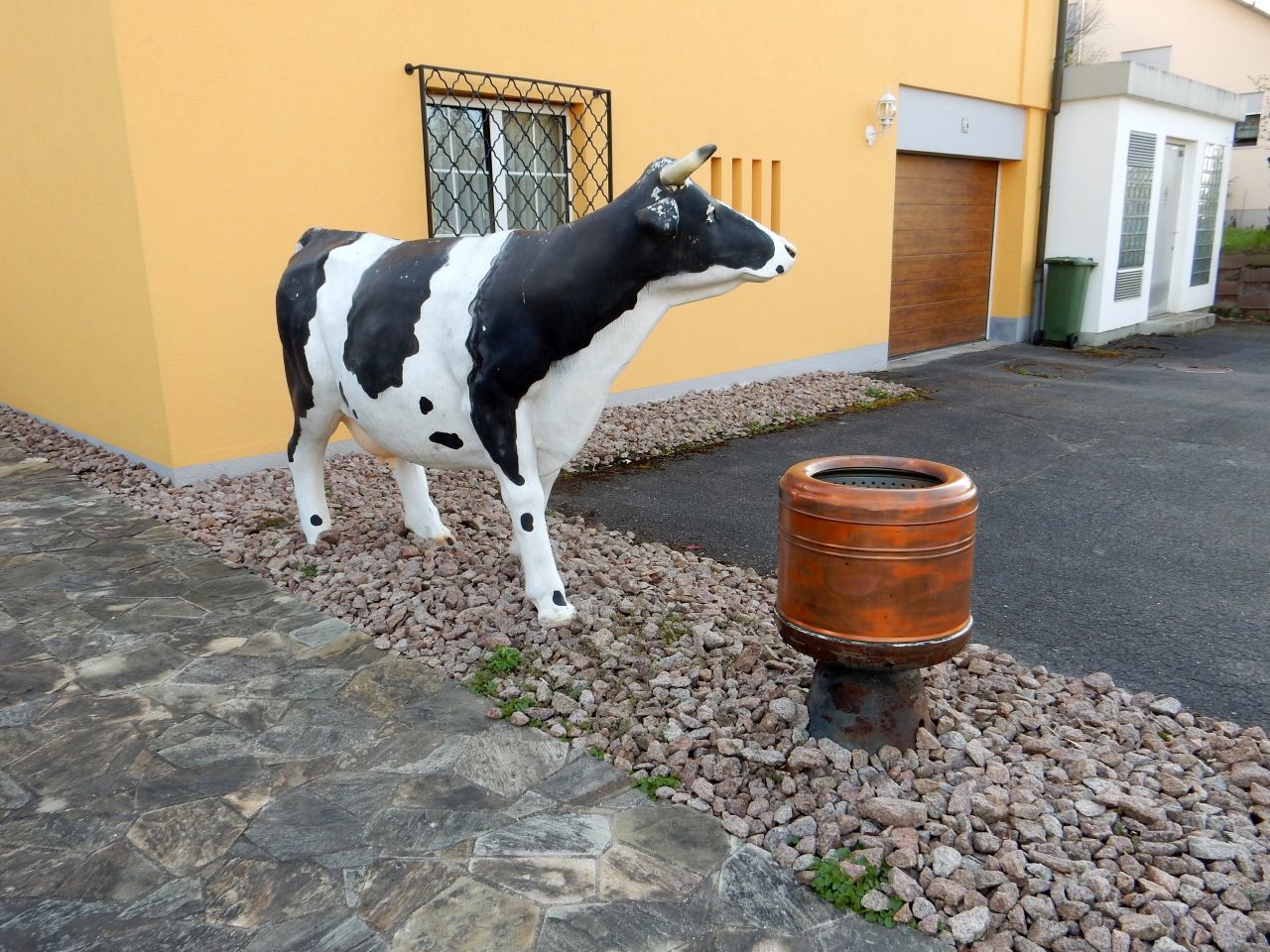 スイスで最も有名な牛！ スイスの動物
