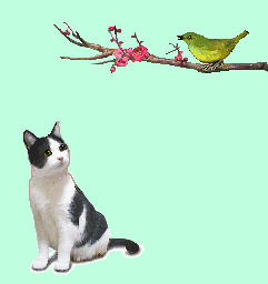 梅と鶯と猫アニメ