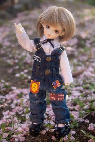 ROSEN LIED、Tuesday's child、通称・火曜子のチェルシー。桜散る野原で、桜と一緒にチェルシーを撮影した、つもり。