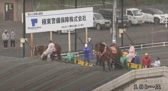 ばんえい競馬 馬 虐待 北海道