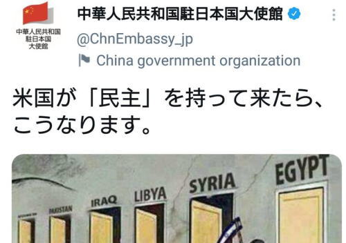 中国大使館 五毛 民主主義