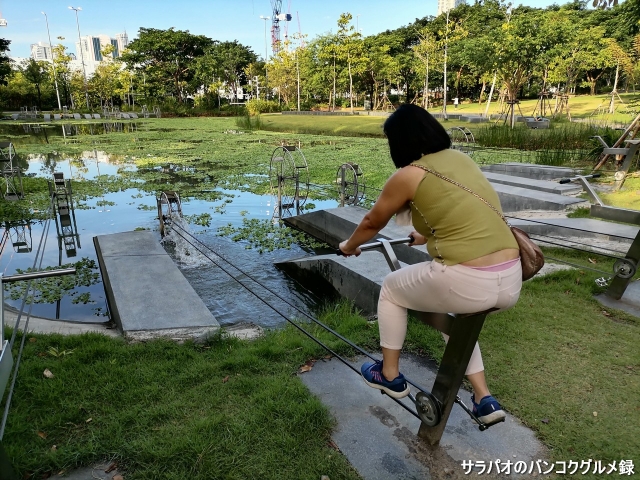 Chulalongkorn University Centenary Park อุทยาน ๑๐๐ ปี จุฬาลงกรณ์มหาวิทยา