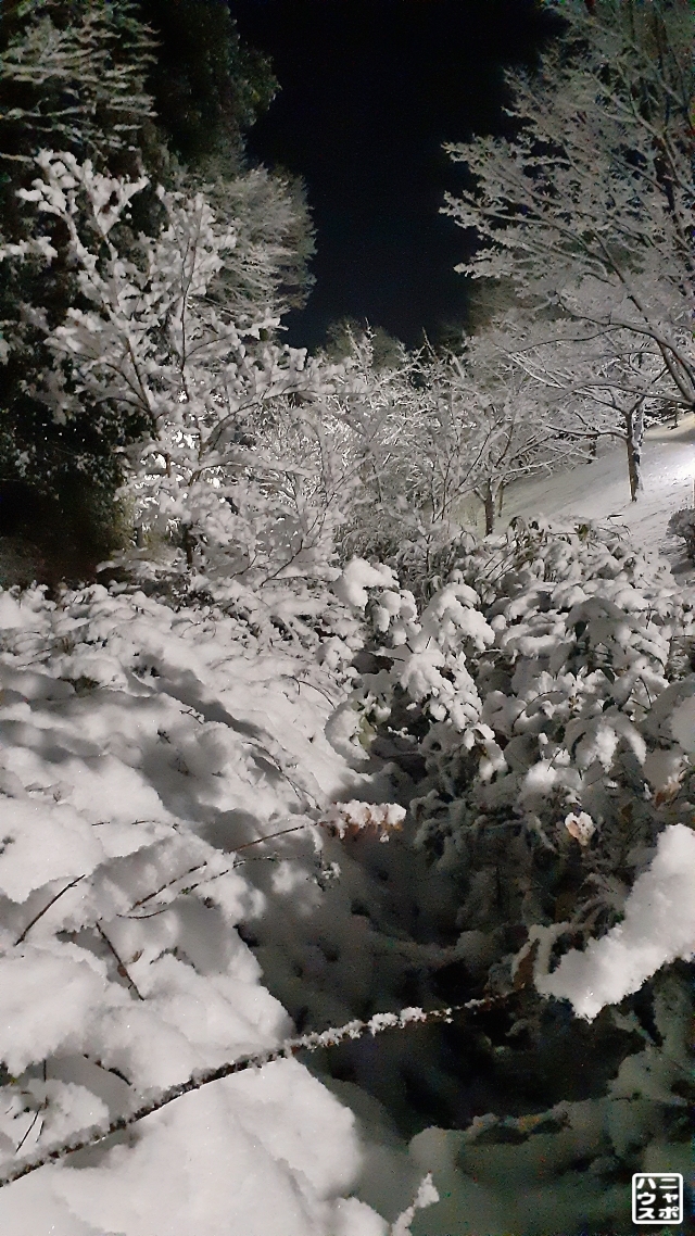関東 積雪
