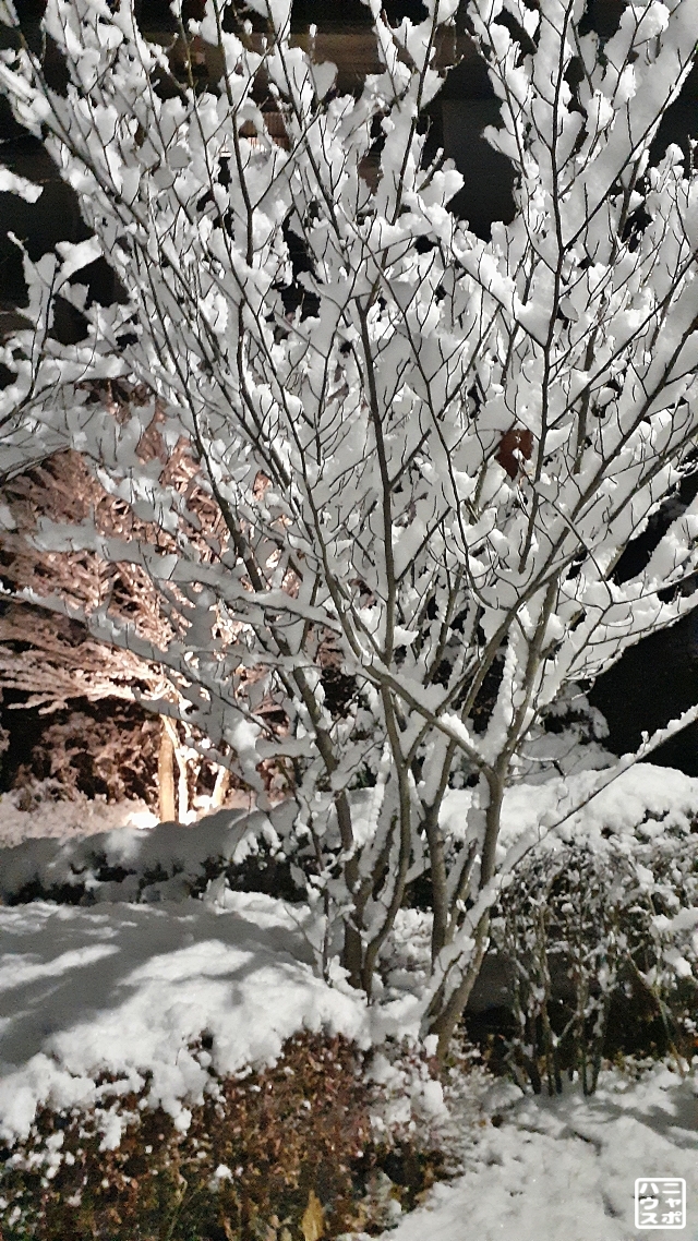 関東 積雪