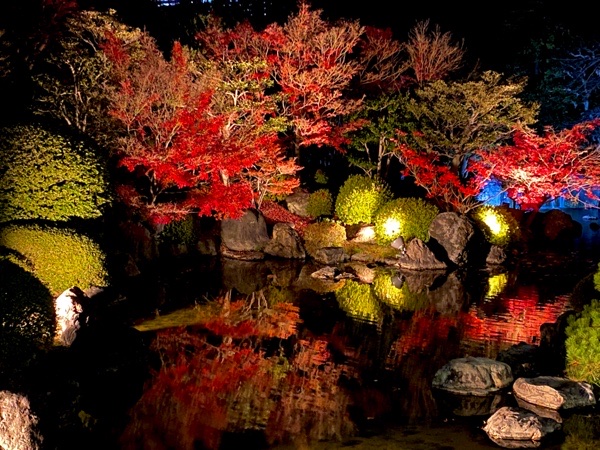 万博記念公園の日本庭園で紅葉の夜間ライトアップが始まりました 初日の様子をご紹介します 万博記念公園イベント情報