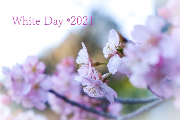 2021年３月河津桜ホワイトデー