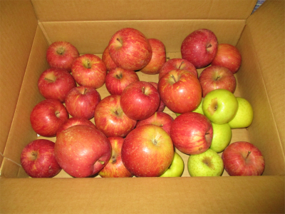201217もらったリンゴ