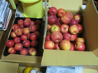 201226リンゴ１