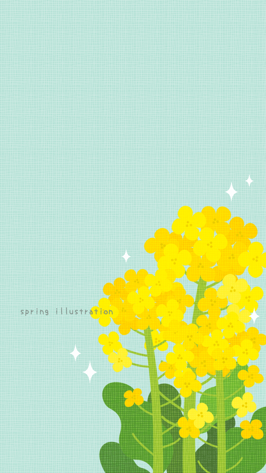 【菜の花】春の花のイラストスマホ壁紙・背景