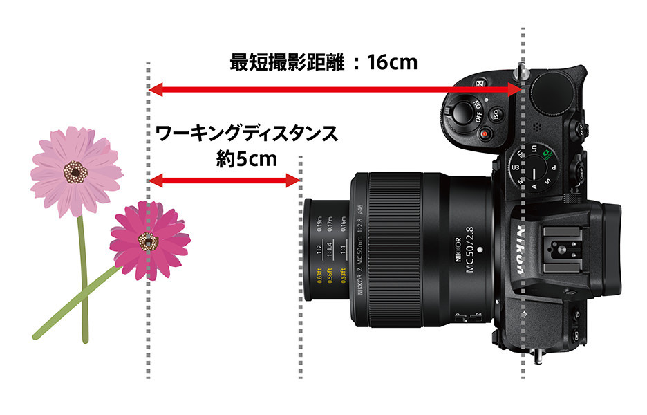 Nikon  Z レンズ NIKKOR Z MC 50mm f/2.8